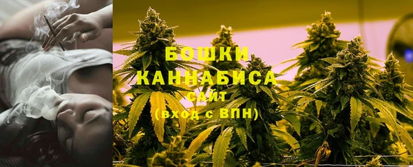 дживик Беломорск